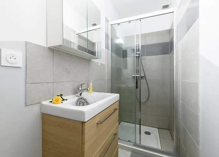 Le Petit Rochalais - Cosy & - Parking Et Wifi Gratuit - Lit Bb - Speciale Appartement