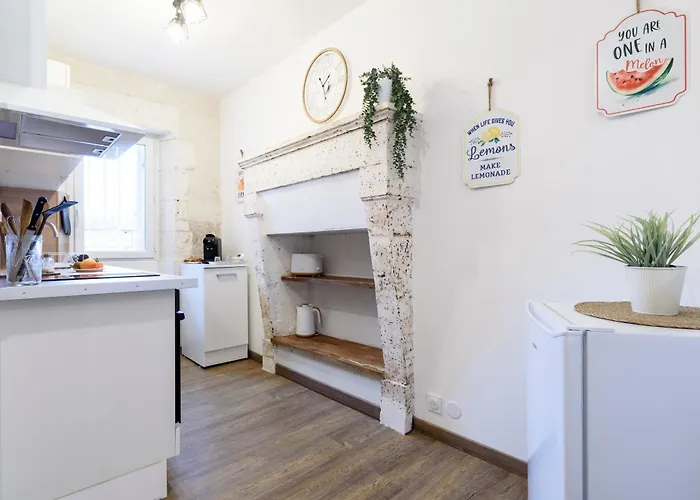 Le Petit Rochalais - Cosy & - Parking Et Wifi Gratuit - Lit Bb - Speciale Appartement